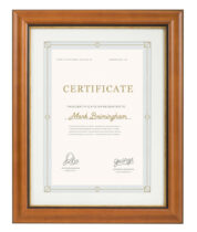 walnut plus gold stripe color wood frame with mat