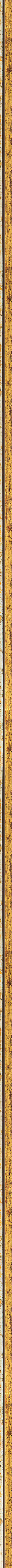 Λεπτή χρυσή κορνίζα με ασημί ρίγα frame