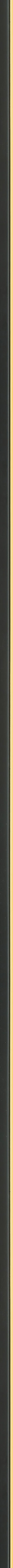 Λεπτή μαύρη κορνίζα με χρυσή ρίγα frame