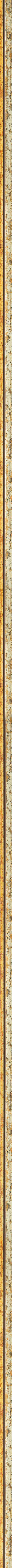 Λεπτή ασημί κορνίζα με χρυσή ρίγα frame