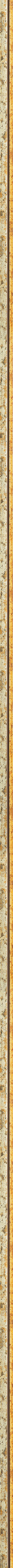 Λεπτή ασημί κορνίζα με χρυσή ρίγα frame