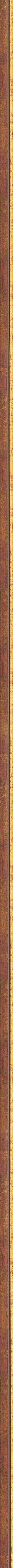 Λεπτή κόκκινη κορνίζα με χρυσή ρίγα frame