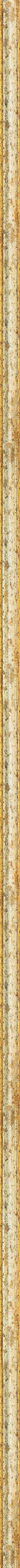 Ασημί με χρυσό κορνίζα frame