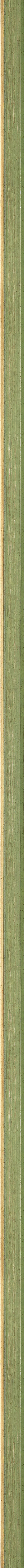 CONTEMPORARY HANDMADE GREEN FRAME frame